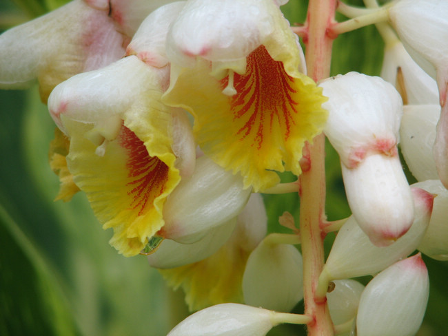 975CF5FB80CB2CA34FE878181A1_1F4B633E_15FE5.jpg?e=