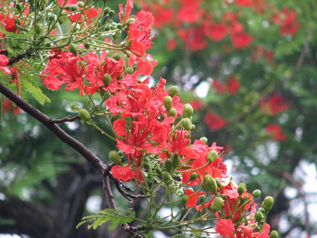 ED014842DC6B58833FE87D261B3_C33E2812_264E5.jpg?e=